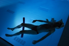 De Waterman